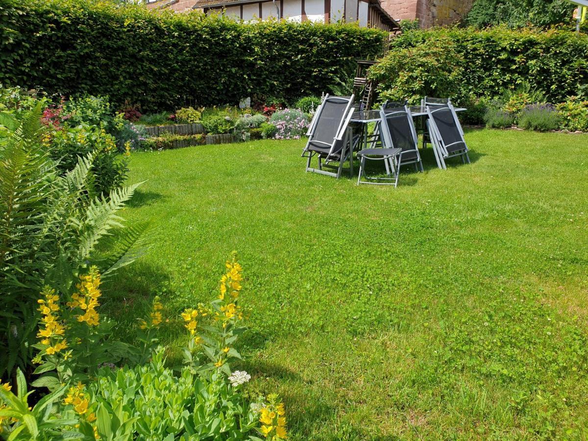 Ferienwohnung Im Urfftal Bad Zwesten Extérieur photo